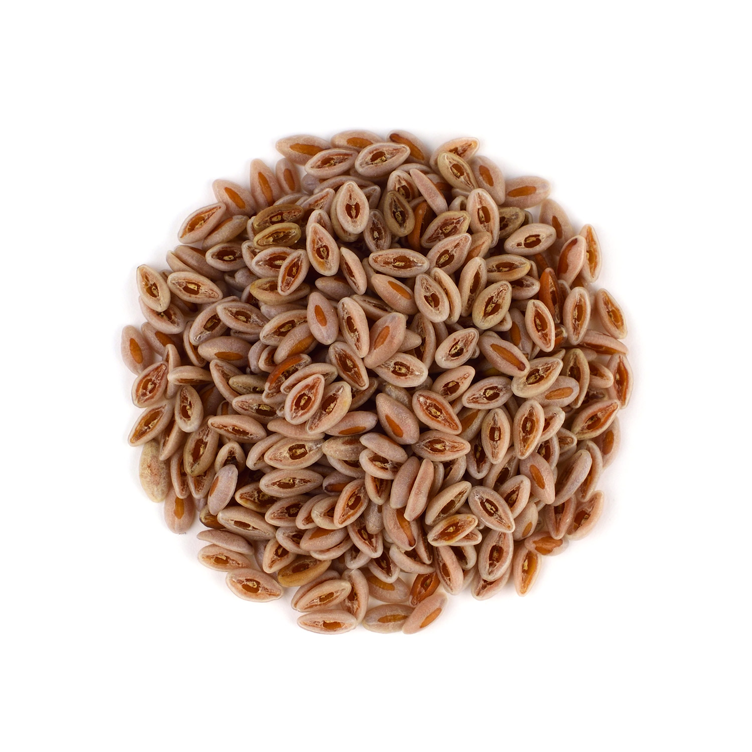 Psyllium